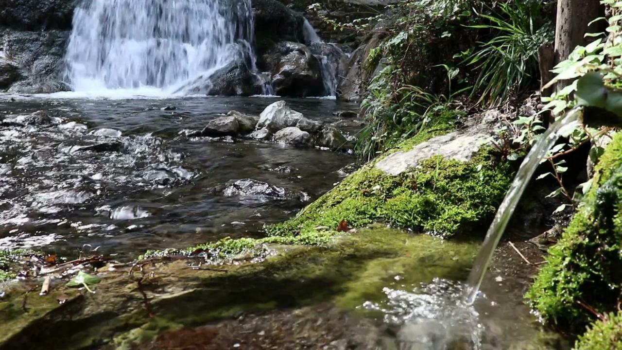 アマルフィ Fior D'Arancioヴィラ エクステリア 写真